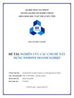 Nghiên cứu các CMS để xây dựng website doanh nghiệp 