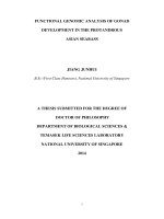 FUNCTIONAL GENOMIC ANALYSIS OF GONAD DEVELOPMENT IN THE PROTANDROUS ASIAN SEABASS 