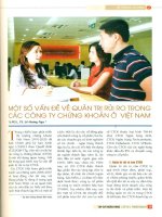 Một số vấn đề về quản trị rủi ro trong các công ty chứng khoán ở việt nam 