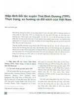 Hiệp định đối tác xuyên thái bình dương (TPP)   thực trạng, xu hướng và đối sách của việt nam 