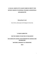 A cullin 1 based SCF e3 ligase complex directs two distinct modes of neuronal pruning in drosophila melanogaster 