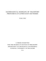 Mathematical modeling of transport phenomena in lithium ion batteries 