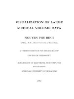 Visualization of large medical volume data 