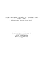 Interaction of a strongly focused light beam with single atoms 