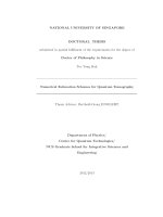 Numerical estimation schemes for quantum tomography 