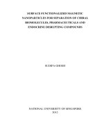 Surface functionalized magnetic nanoparticles for separation of chiral biomolecules, pharmaceuticals and endocrine disrupting compounds 