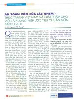 An toàn vốn của các ngân hàng thương mại   thực trạng việt nam và giải pháp cho việc áp dụng hiệp ước tiêu chuẩn vốn basel II và III 