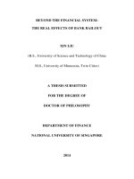 Beyond the financial syste the real effects of bank bailout 