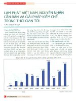 Lạm phát việt nam, nguyên nhân căn bản và giải pháp kiềm chế trong thời gian tới