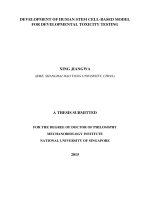 Development of human stem cell based model for developmental toxicity testing 