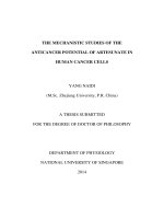 The mechanistic studies of the anticancer potential of artesunate in human cancer cells 