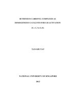 Ruthenium carbonyl complexes as homogeneous catalysts for x h activation (x = c, n, o, si 
