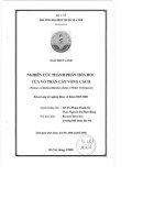 Nghiên cứu thành phần hóa học của vỏ thân cây vọng cách