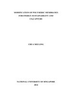 Modification of polymeric membranes for energy sustainability and CO2 capture 2 