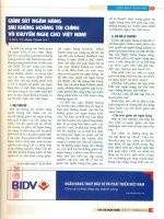 Giám sát ngân hàng sau khủng hoảng tài chính và khuyến nghị cho việt nam 