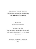 Theoretical investigations of thermoelectric effects in advanced low dimensional materials 