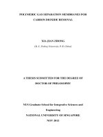 Polymeric gas separation membranes for carbon dioxide removal 