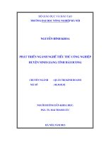 Phát triển ngành nghề tiểu thủ công nghiệp huyện ninh giang tỉnh hải dương