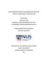 Gene expression changes in the brainstem and prefrontal cortex in a mouse model of orofacial pain 