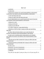 Thực trạng pháp luật cạnh tranh Việt Nam về quảng cáo nhằm cạnh tranh không lành mạnh