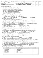 ĐE KIEM TRA TIENG VIET LOP 8