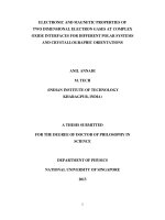 Electronic and magnetic properties of two dimensional electron gases at complex oxide interfaces for different polar systems and crystallographic orientations 