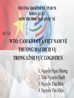 cam kết của việt nam về thương mại dịch vụ trong lĩnh vực logistics