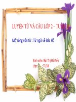 luyện từ và câu lớp 2   tuần 30
