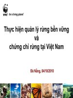 QUẢN LÝ RỪNG BỀN VỮNG Ở VN