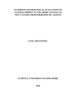 Synthesis and biological evaluation of natural products and their analogs as new cancer chemotherapeutic agents 