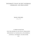 Instability study of soft materials   modelling and simulation 