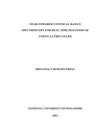 Near infrared confocal raman spectroscopy for real time diagnosis of cervical precancer 