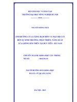 Ảnh hưởng của lượng đạm bón và mật độ cấy đến sự sinh trưởng, phát triển, năng suất lúa giống HT6 trên tại duy tiên   hà nam