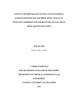 Study in the preparation of poly (4 vinylpyridine) based nanoparticles and their application as an effective adsorbent for the recovery of palladium from aqueous solutions 