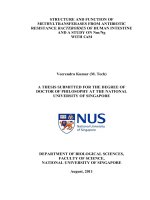 Structure and function of methyltransferases from antibiotic resistance bacteroides of human intestine and a study on nm ng with cam 