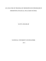 An analysis of the role of microfinance in promoting financial inclusion in india 