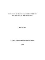 Influence of silicon nanostructures on the growth of gan on silicon 
