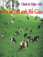 chính tả Đàn bê của anh Hồ Giáo