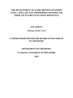 The development of acidic protein aptamers using capillary electrophoresis methods and their use in surface plasmon resonance 