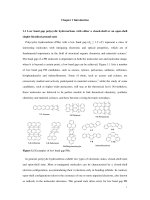 Synthesis, physical properties and biradical characters of zethrene based polycylic hydrocarbons 2 