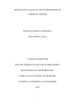 The role of b cells in the pathogenesis of atherosclerosis 1 