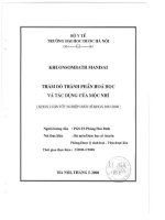 Thăm dò thành phần hóa học và tác dụng của mộc nhĩ