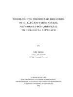 Modeling the chemotaxis behaviors of c  elegans using neural network from artificial to biological approach 