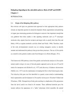 Hedgehog signaling in the zebrafish embryo  role of kif7 and DZIP1 2 