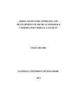 Modular dynamic modeling and development of micro autonomous underwater vehicle lancelet 