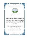 Phân lập, xác định cấu trúc và thử hoạt tính chống oxy hóa của một số flavonoid từ cây cỏ lào ( chromolaena odorata ( l)  king  robinson ( asteraceae)