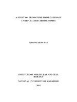 A study on premature segregation of unreplicated chromosomes 1 