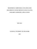 Mesoporous carbon silica encapsulated molybdenum and ruthenium nanocatalysts for green chemistry applications 
