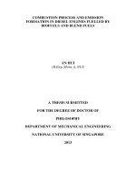 Combustion process and emission formation in diesel engines fuelled by biofuels and blend fuels 