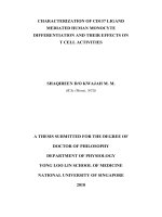 Characterization of CD137 ligand mediated human monocyte differentiation and their effects on t cell activities